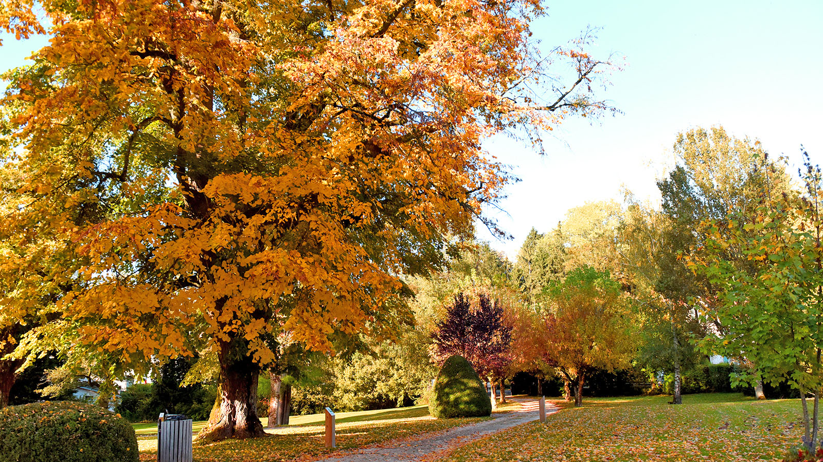 Le parc en tenue d'automne 